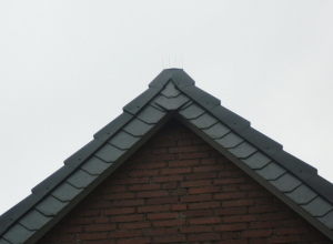 Schieferarbeiten Schieferarbeiten