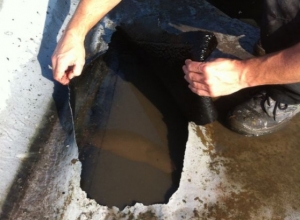 Sturmschäden Sturmschäden